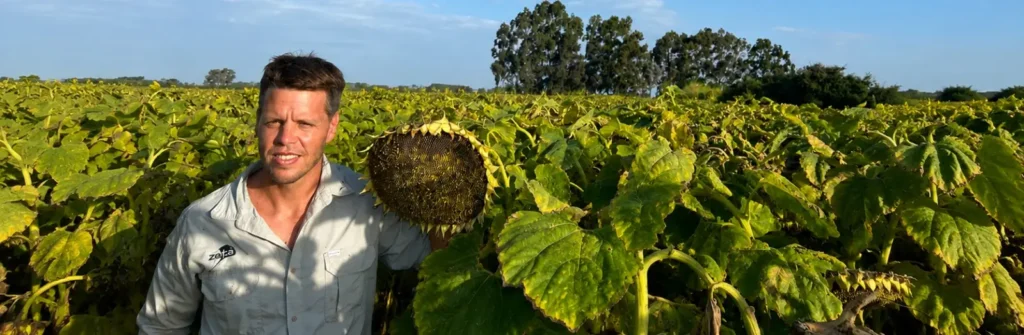 Alto Oleico: un semillero pisa fuerte con genética argentina para competir globalmente