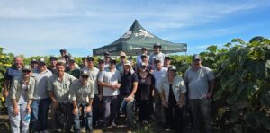 La genética que empuja al girasol: una firma especializada en el cultivo apunta a liderar la nueva expansión de la oleaginosa